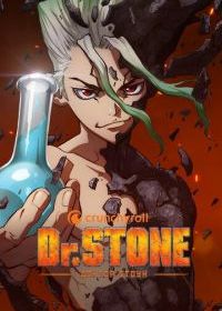 Доктор Стоун