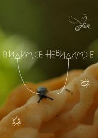 Видимое невидимое