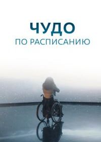 Чудо по расписанию