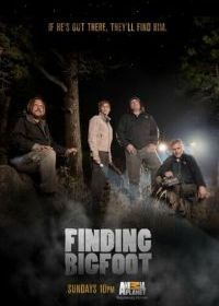 В поисках йети