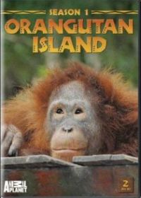 Остров орангутанов