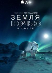 Земля ночью в цвете