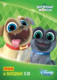 Дружные мопсы