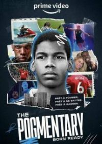 Погментарий