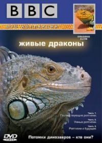 BBC: Живые драконы
