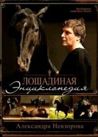 Лошадиная энциклопедия