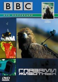 BBC: Глазами животных