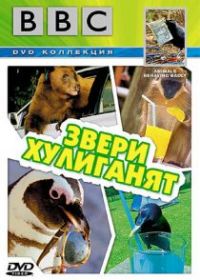 BBC: Звери хулиганят