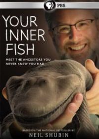 Внутренняя рыба