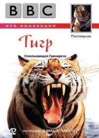 BBC: Тигр