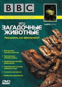 BBC: Эти загадочные животные