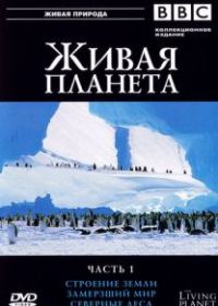 BBC: Живая планета