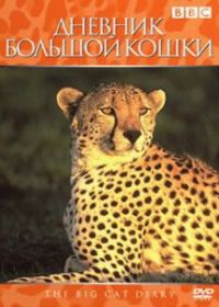 Дневник большой кошки