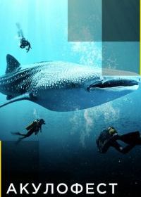 Акулофест