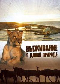 Выживание в дикой природе