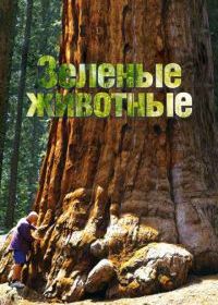 Зелёные животные