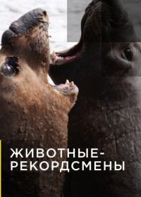Животные-рекордсмены