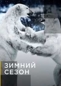 Зимний сезон