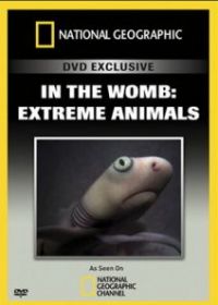 Жизнь до рождения: Экстремальные животные