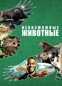 Невозможные животные