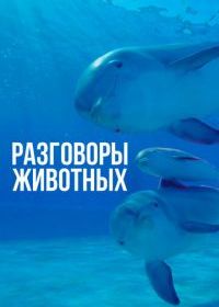 Разговоры животных
