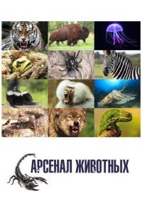 Арсенал животных