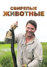 Свирепые животные