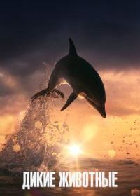 Дикие животные