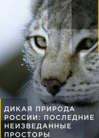 Дикая природа России: Последние неизведанные просторы