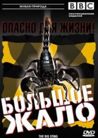 BBC: Большое жало