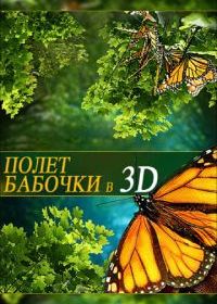 Полет бабочки 3D
