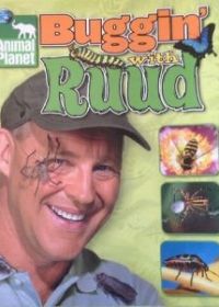 Рууд и его жуки