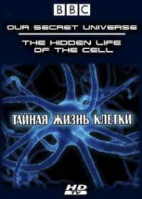 Внутренняя вселенная: Тайная жизнь клетки