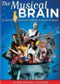 Мой музыкальный мозг